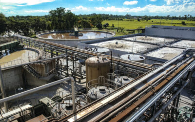 Do You Need to Remove Chromium from Your Industrial Water or Wastewater?
