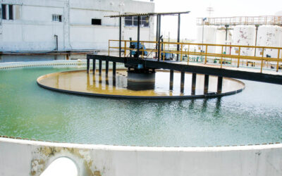 How to Choose the Best Wastewater Treatment System for Your Plant