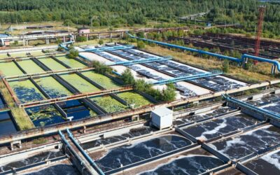 ﻿What Is a Biological Wastewater Treatment System and How Does It Work?
