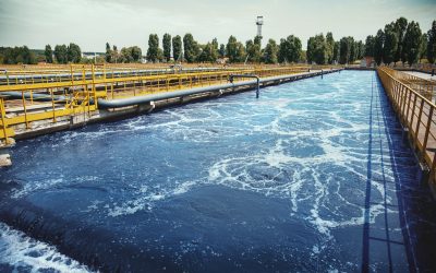 Weighing the Advantages of Different Biological Wastewater Treatment Technologies